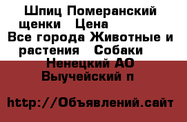 Шпиц Померанский щенки › Цена ­ 25 000 - Все города Животные и растения » Собаки   . Ненецкий АО,Выучейский п.